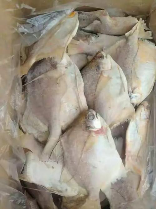 海发冷冻食品夏季烧烤大全产品:电话;3225679,15077990707